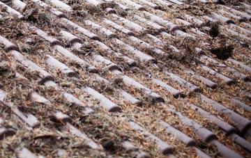 Auchencrow roof cleaning companies